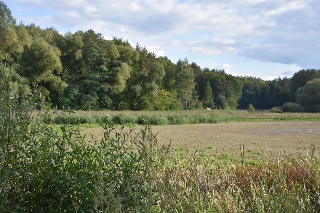 Jezioro wyschło