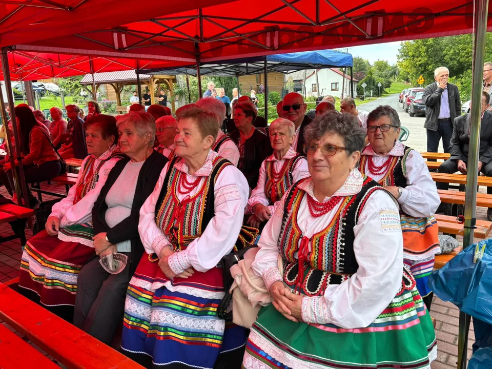 Jędrzejówka rozbrzmiała muzyka ludową! (foto) - Zdjęcie główne
