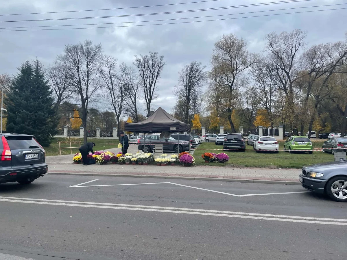 Biłgoraj: Chryzantemy przy cmentarzu – zdjęcie 2
